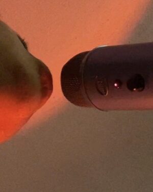 Very Implied Experience